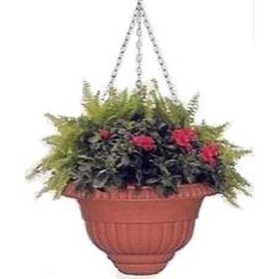 VASO EBRO C/CATENA 30